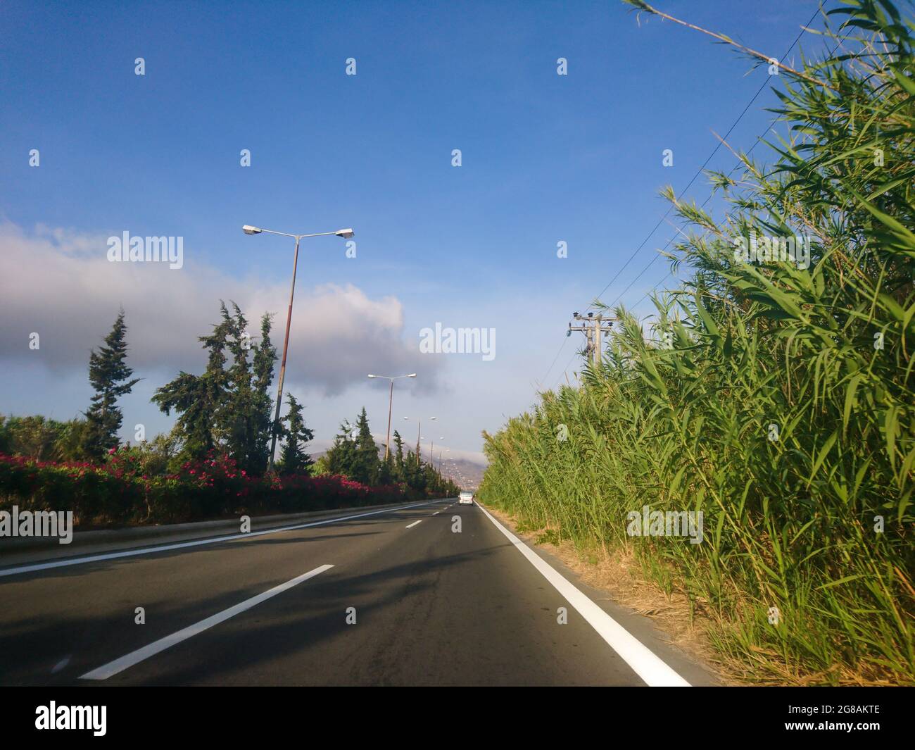 Fahren Autobahn Asphaltstraße mit Schilf und Blumen auf Bürgersteig in Griechenland, Europa. Reise von Thessaloniki nach Athen. Sonnige Aussicht mit malerischen Wolken Fr. Stockfoto