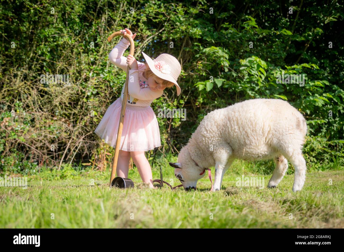 Zwei Jahre altes Mädchen mit einem Schaf draußen, gekleidet als kleiner bo-Piep Stockfoto