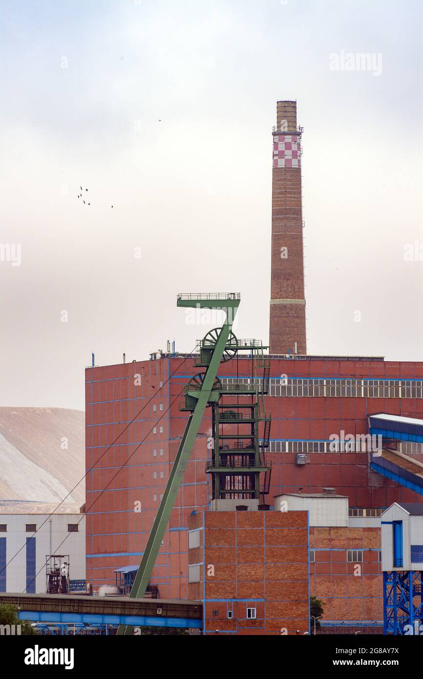 zitronen düngen Bio Zitronenbaumdünger mit Langzeitwirkung main image 0