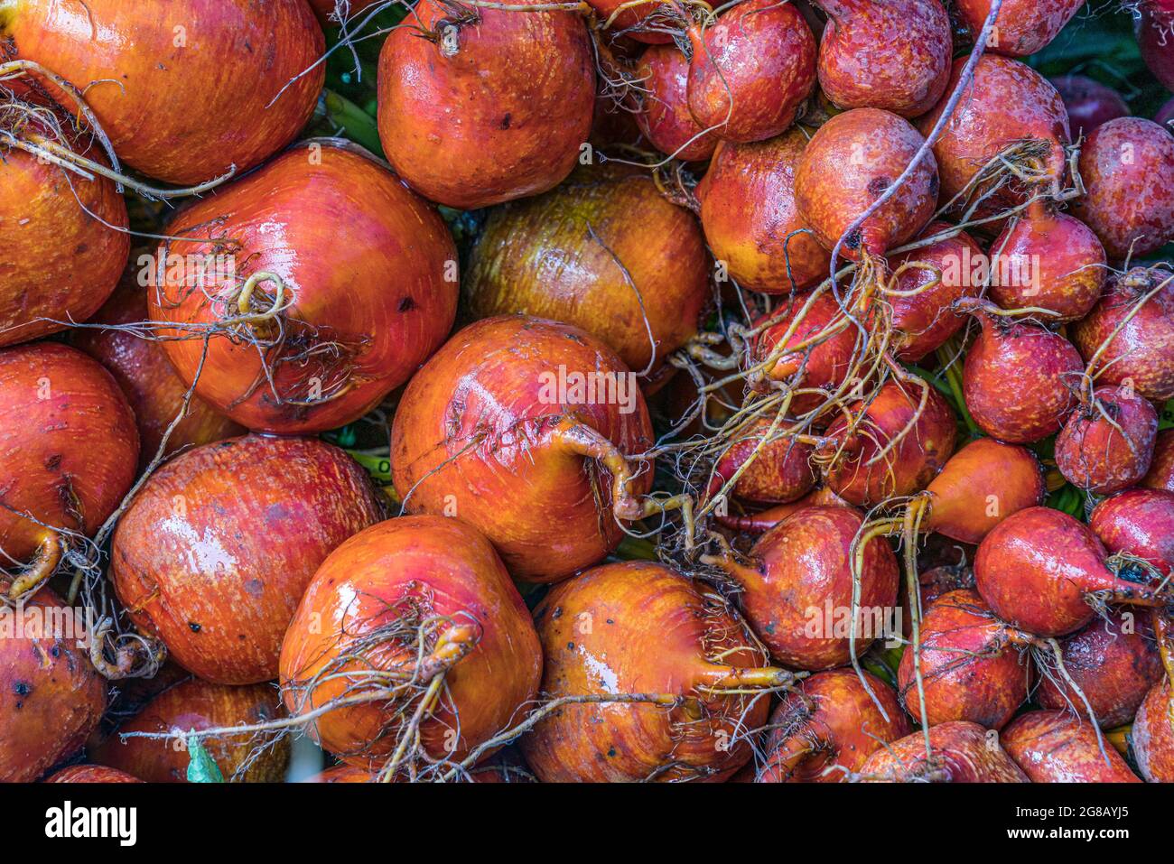 Produkte und Blumen auf dem Bauernmarkt Stockfoto