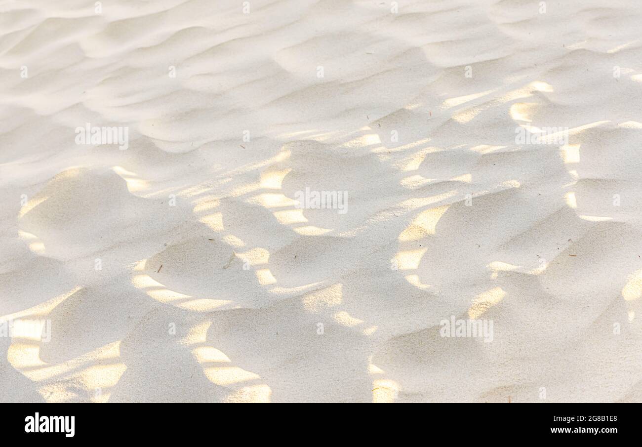 Detailbild eines Sandstrandes in Montauk, NY Stockfoto