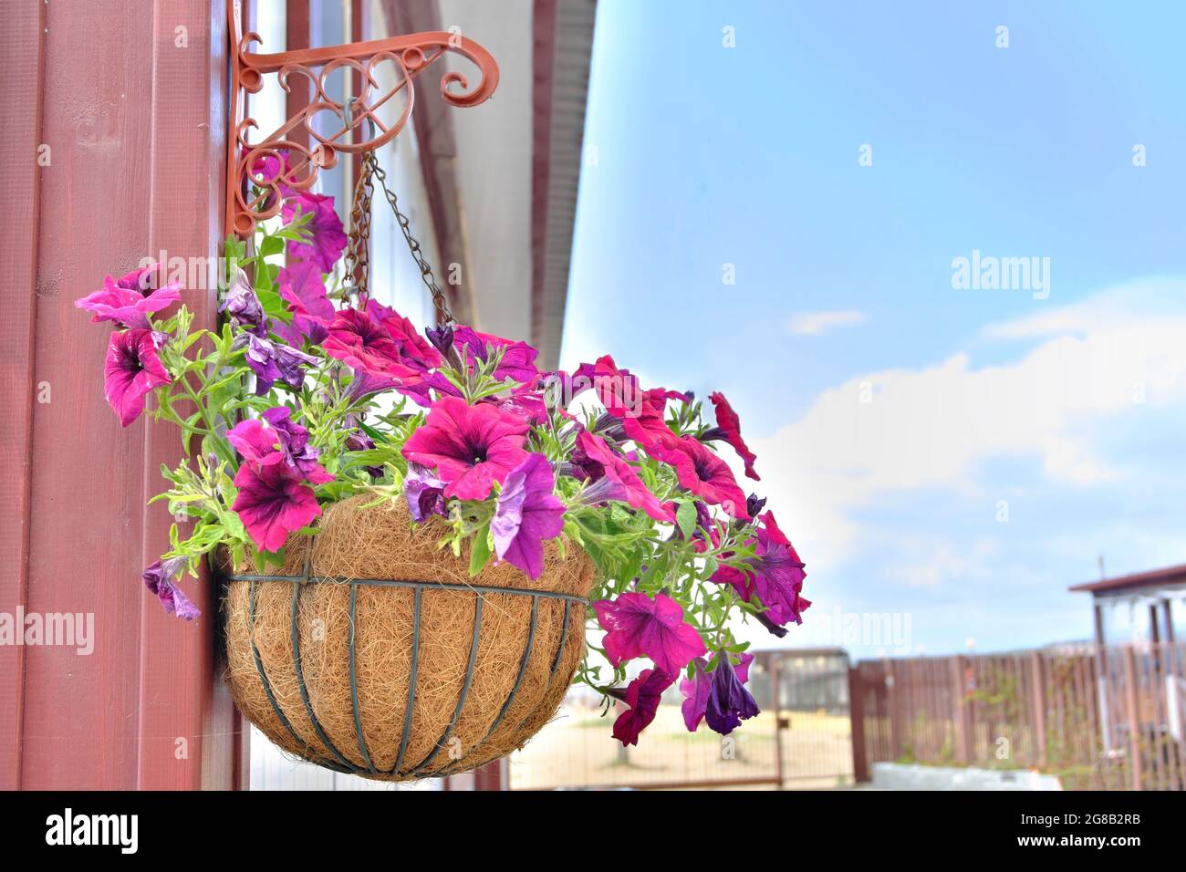 Dekorativer Blumentopf mit bunten Blumen, die an der Wand des Strandhauses hängen. Selektiver Fokus. Stockfoto