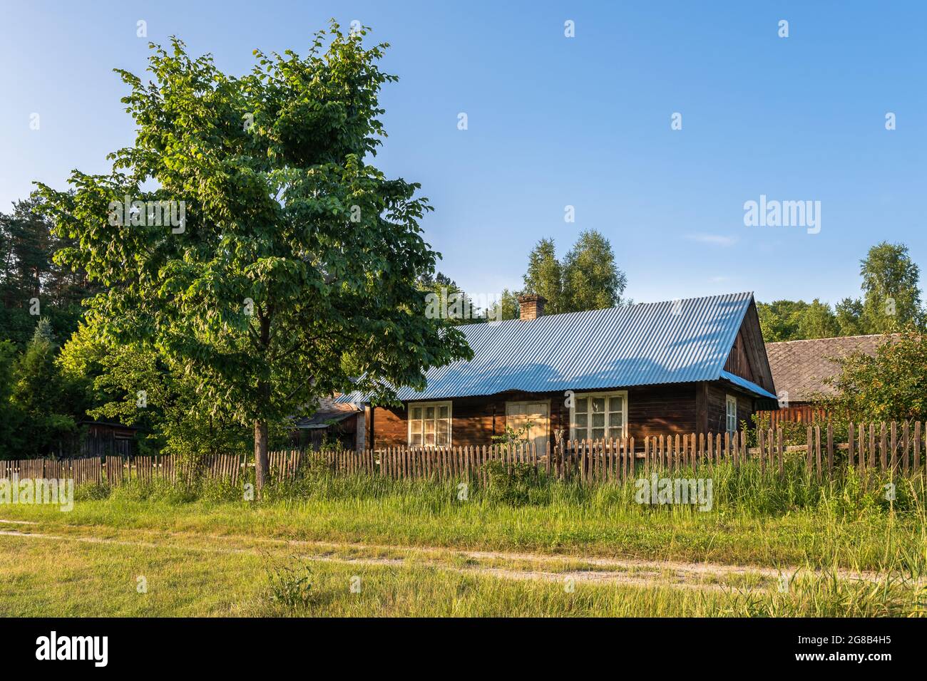Altes, hölzernes Bauernhaus, gelegen auf dem Land, im Sommer zwischen den Bäumen. Krasnobród, Roztocze, Polen. Stockfoto