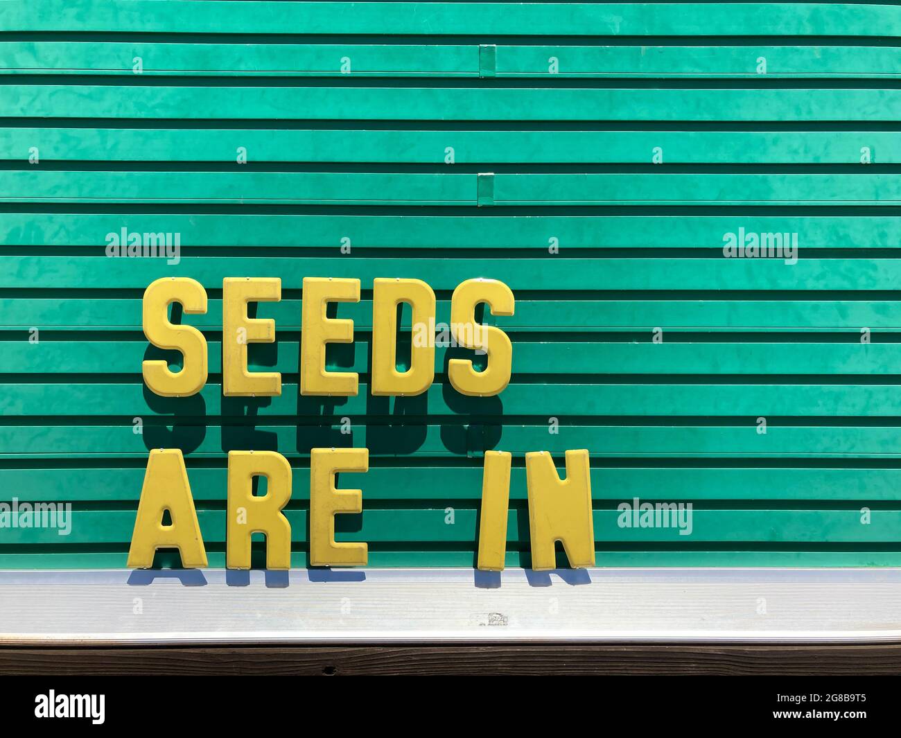 „Seeds are in“-Zeichen mit gelben Buchstaben auf einem grünen Hintergrund mit horizontalen Linien Stockfoto