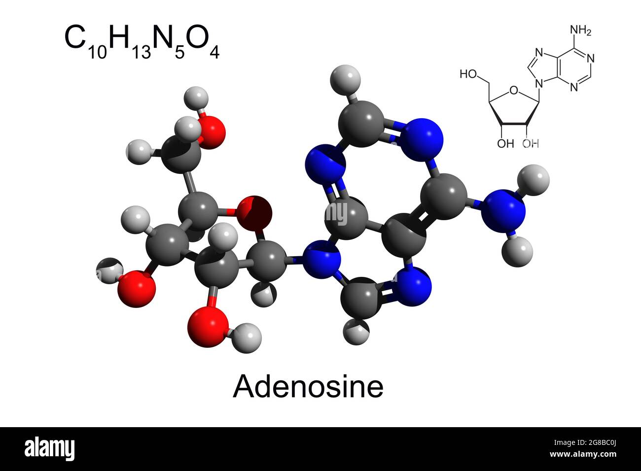 Chemische Formel, Skelettformel und 3D-Ball-and-Stick-Modell von Nukleosid-Adenosin, weißer Hintergrund Stockfoto