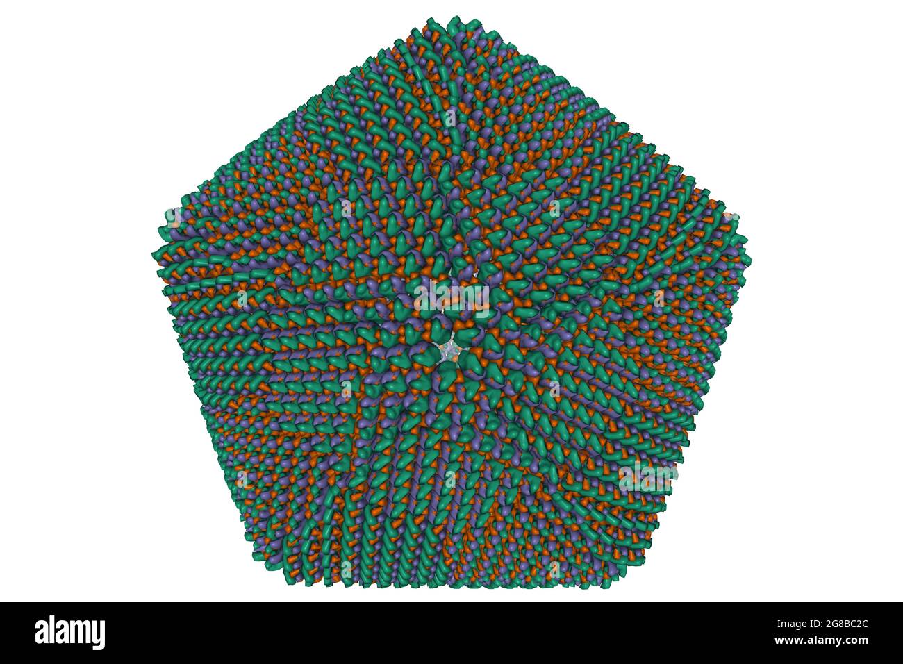 Struktur des Faufovirus-Capsids, 3D-Gaußsche Oberflächenmodell, Farbschema der Kette-ID, basierend auf PDB 5jb1, weißer Hintergrund Stockfoto