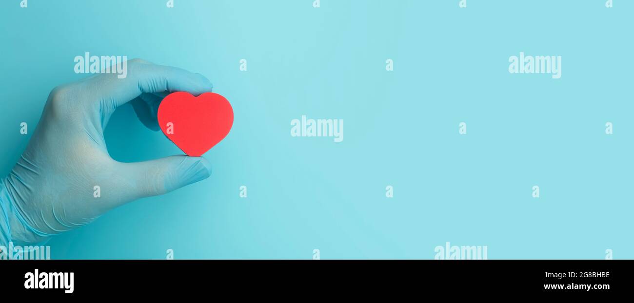 Herz in den Händen eines Arztes auf farbigem Bannerhintergrund. Spende, Wohltätigkeit, Gesundheitsbehandlung, Hilfekonzept. Medizinische Gesundheit Hintergrund und Liebe. Hochwertige Fotos Stockfoto