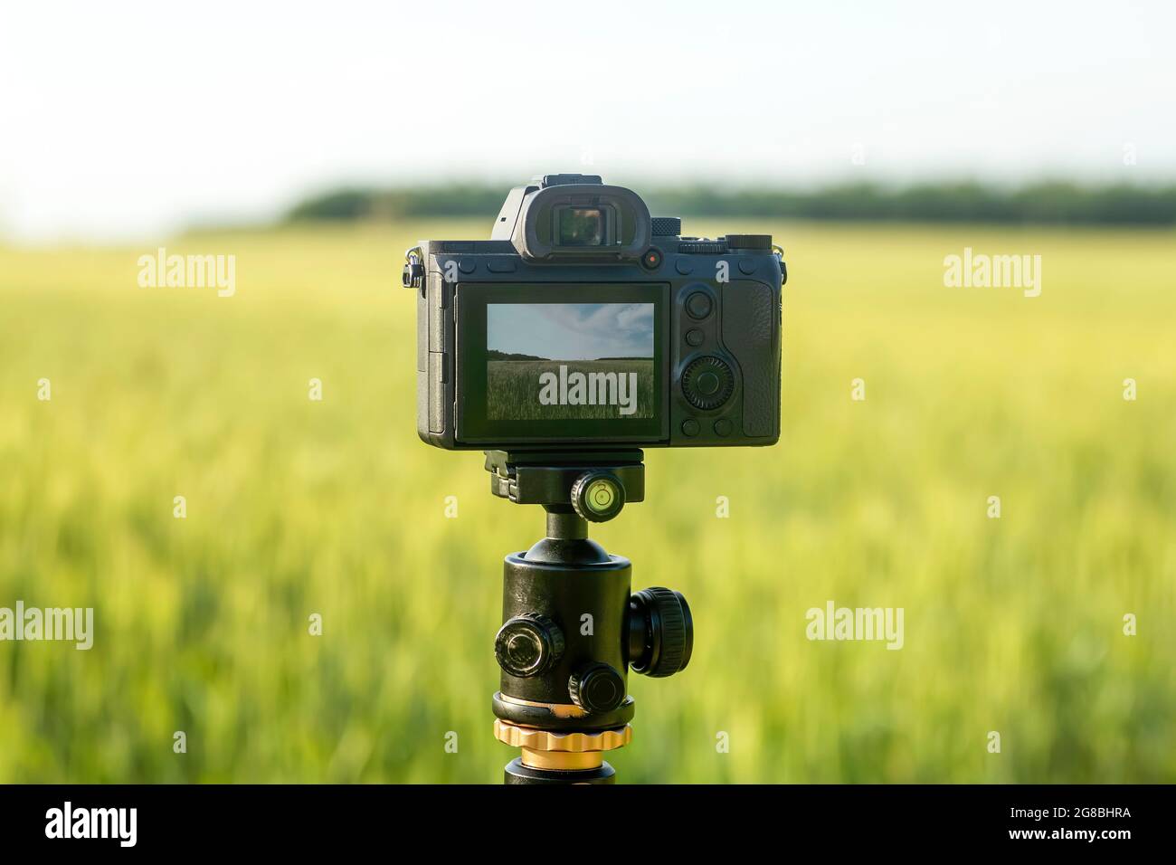 Eine Kamera mit einem Objektiv auf einem Stativ, bereit für Fotos oder  Videos in der Natur. Fotografieren und Filmen von Landschaften, Wildtieren.  Hochwertige Fotos Stockfotografie - Alamy