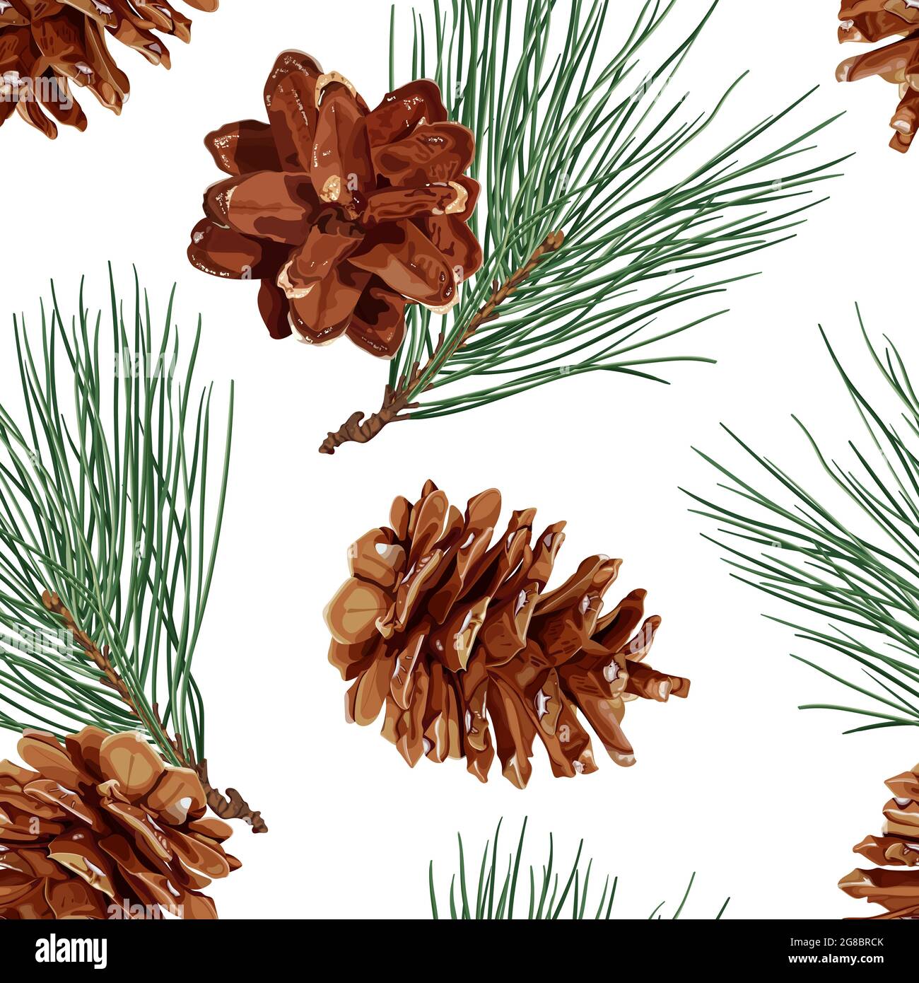 Botanisches Nahtloses Muster mit Tannenzapfen und Ästen. Realistischer Winterhintergrund. Vektorgrafik für Aktien. Stock Vektor