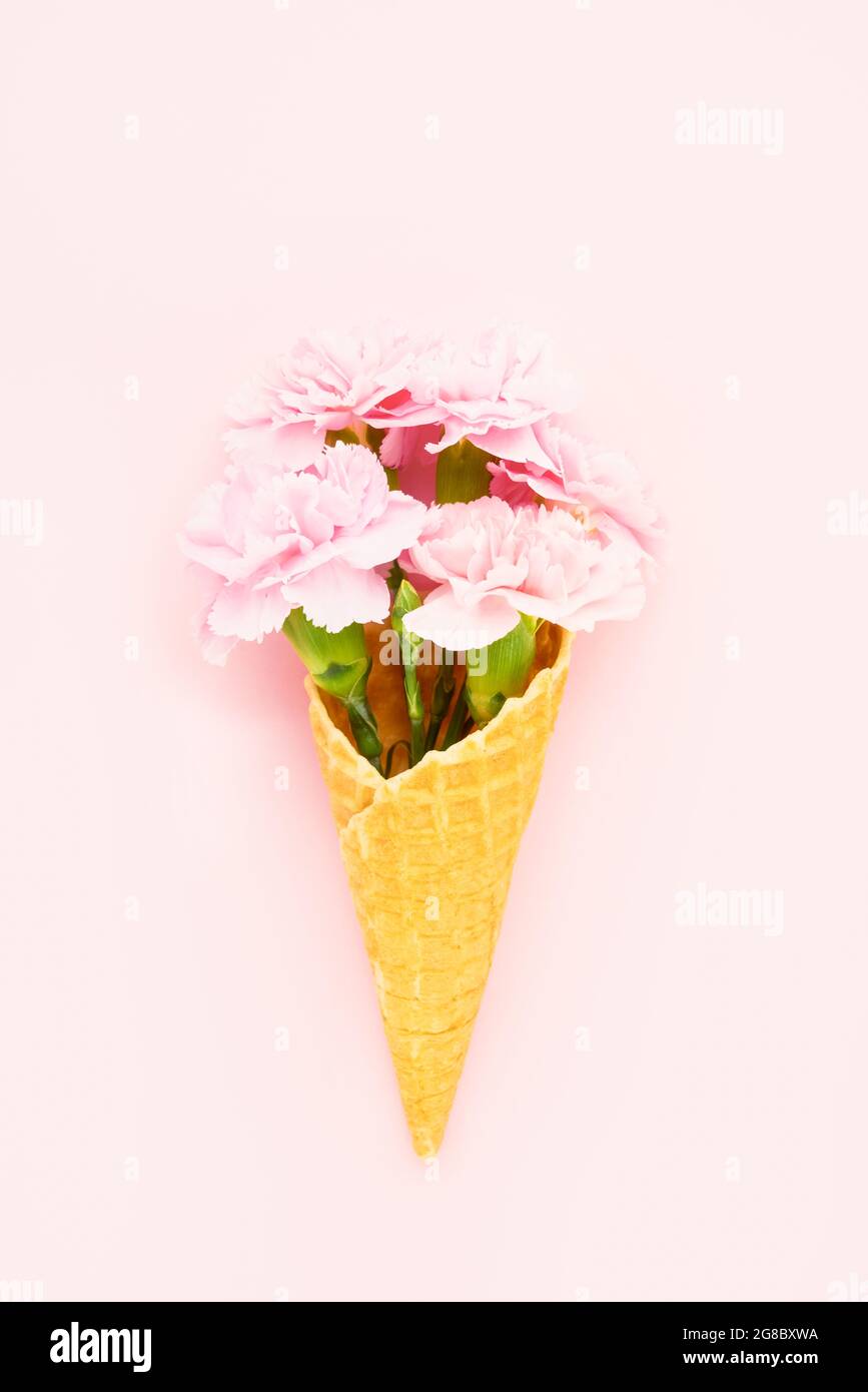 Rosa Nelkenblüten in einem Waffel-Eis-Kegel auf einem hellrosa Hintergrund. Muttertag, Valentinstag, Bachelorette, Sommerkonzept. Platz kopieren, t Stockfoto