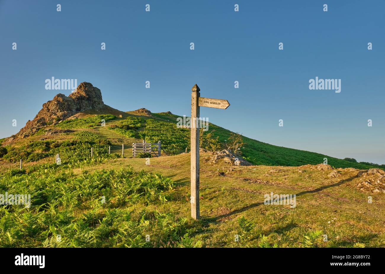 Der Weg hinauf zum Gaer Stone auf Hope Bowdler Hill, Church Stretton, Shropshire Stockfoto