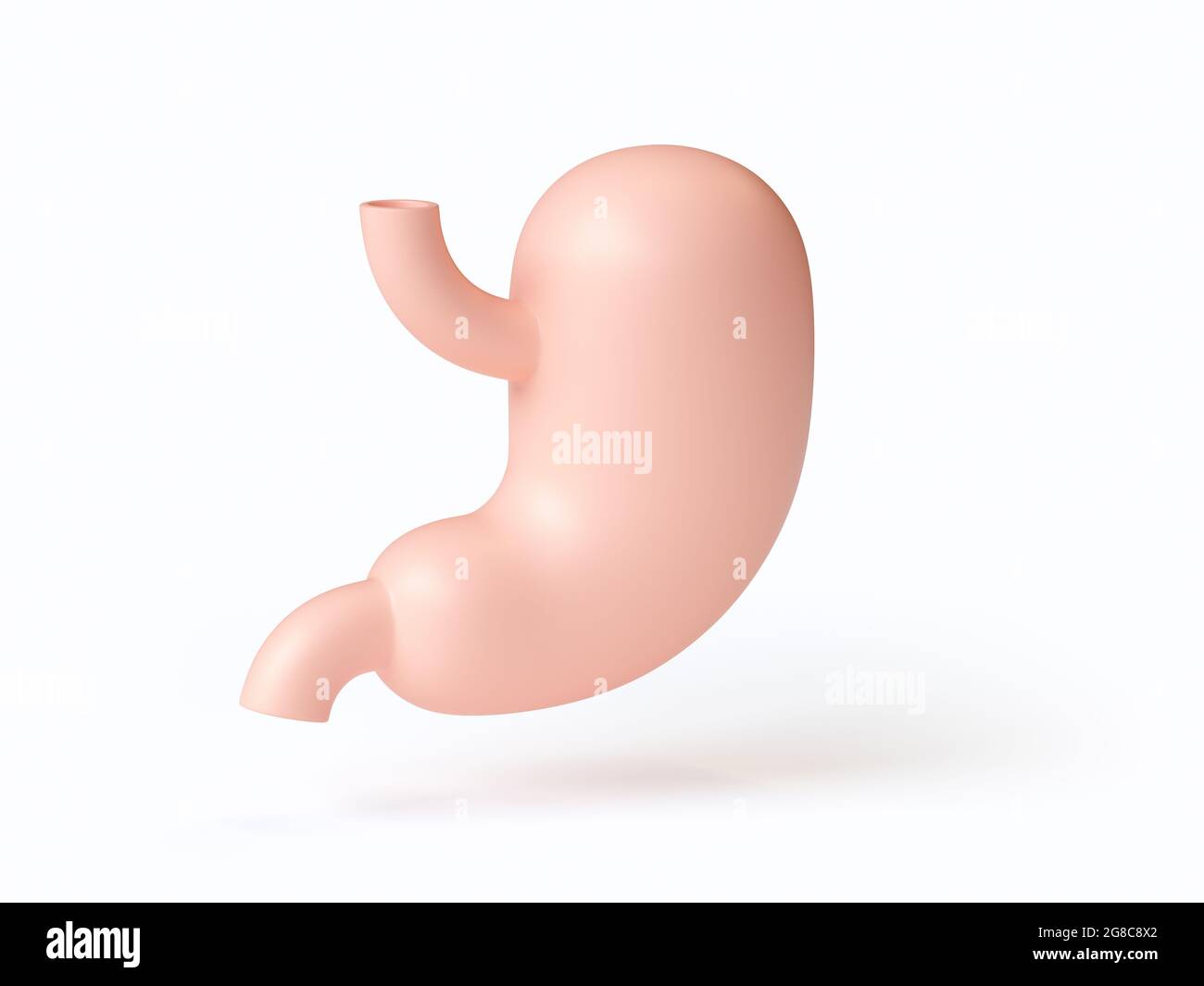 Isometrische 3d-Darstellung eines stilisierten menschlichen Magens, isoliert auf Weiß. Inspiriert von flachen Designtrends Stockfoto