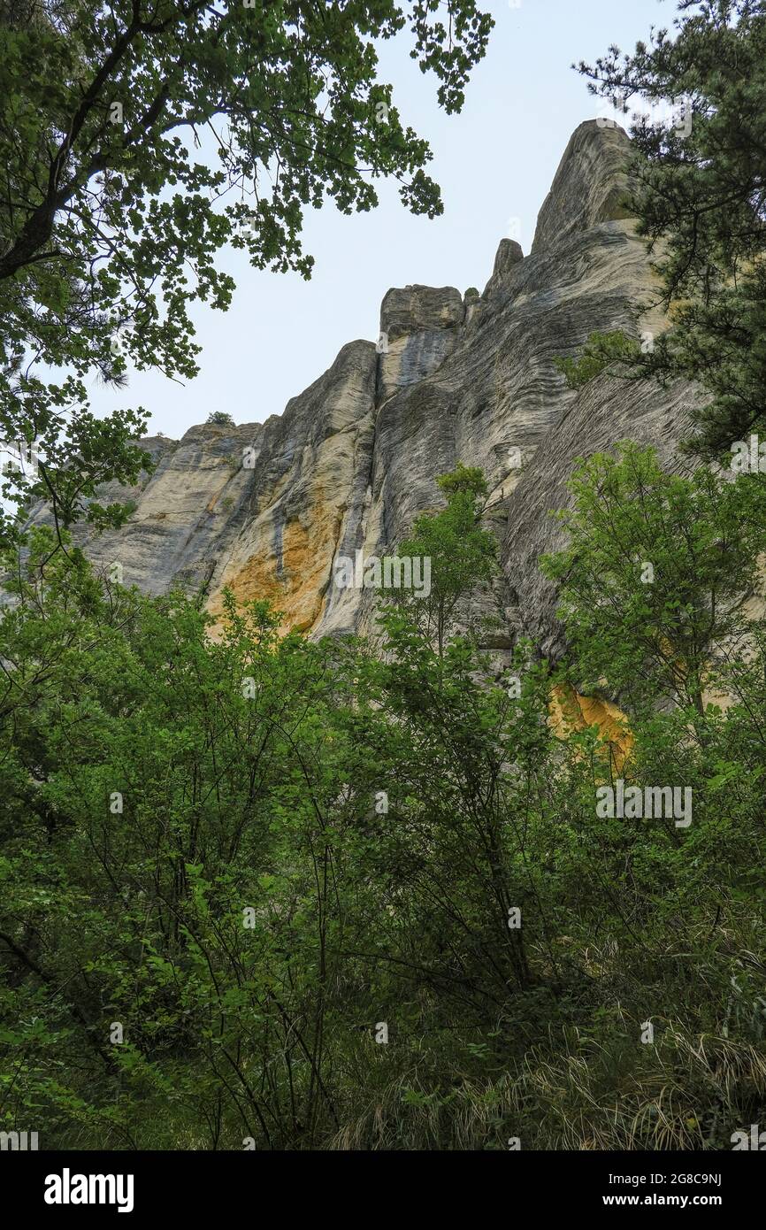 Felsen in den Bergen von unten über grüne Bäume aus nächster Nähe. Pietra di Bismantova, Italien. Wandern, Trekking, Camping, Erlebniskonzept Stockfoto