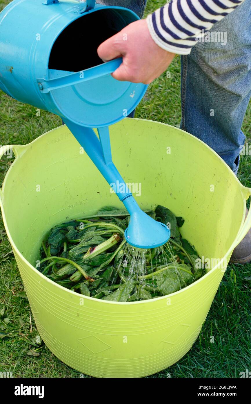 bio organischer dünger Organischer Bio-Dünger 