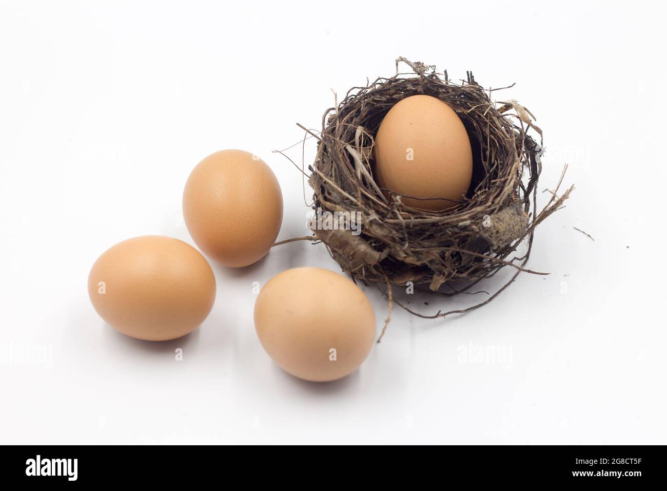 Eier in einem Nest, das auf einem weißen Hintergrund platziert ist, isolieren Stockfoto
