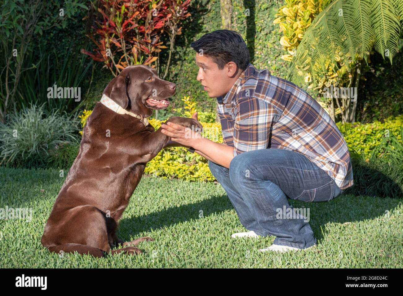 Junger Mann beim Gehorsamstraining mit seinem Hund Stockfoto