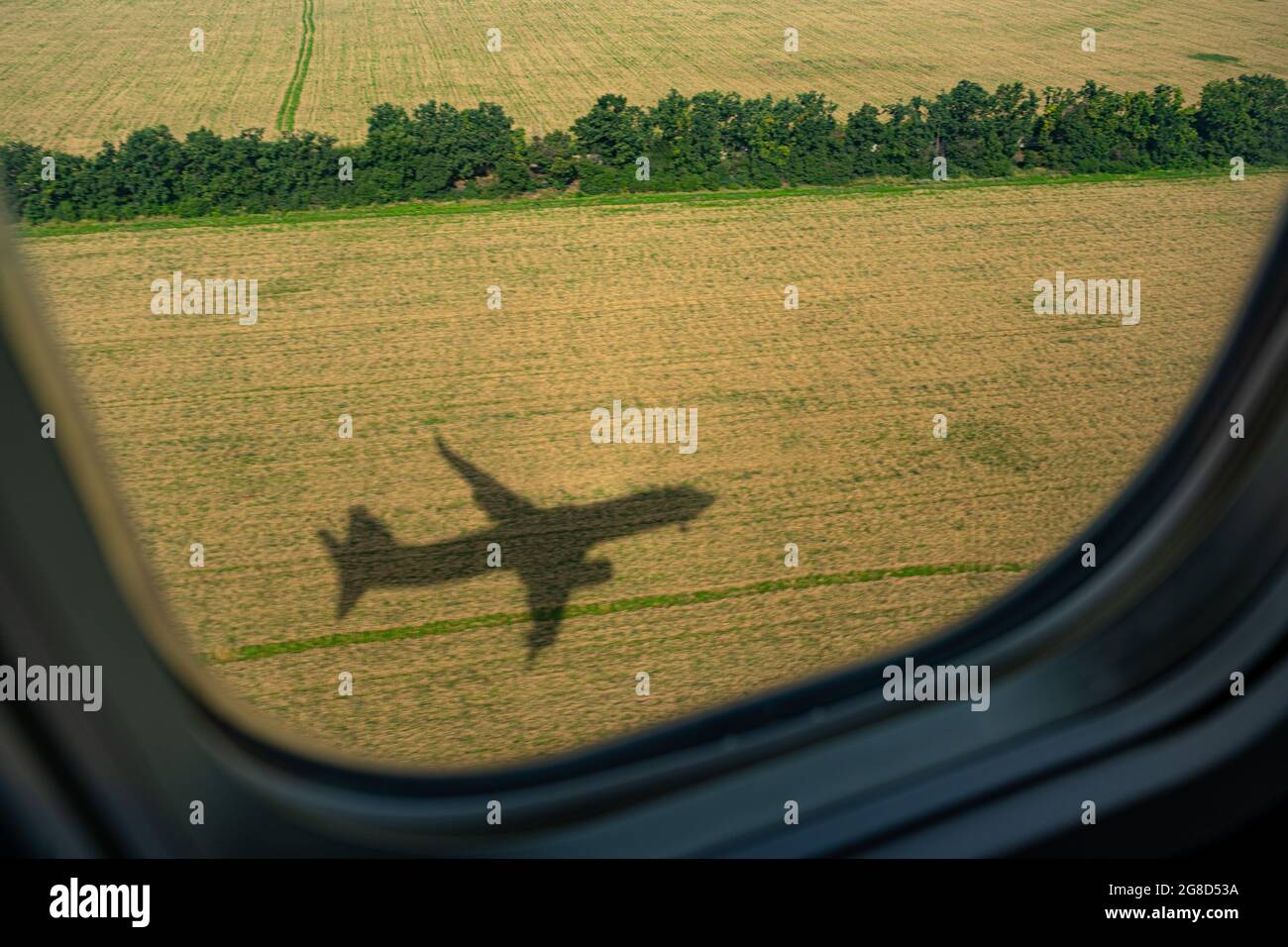 Ebene. Blick aus dem Flugzeugfenster. Der Schatten eines Flugzeuges auf einem gelben Sonnenblumenfeld. Situet. Blick von oben. Reisekonzept. Bullauge Stockfoto
