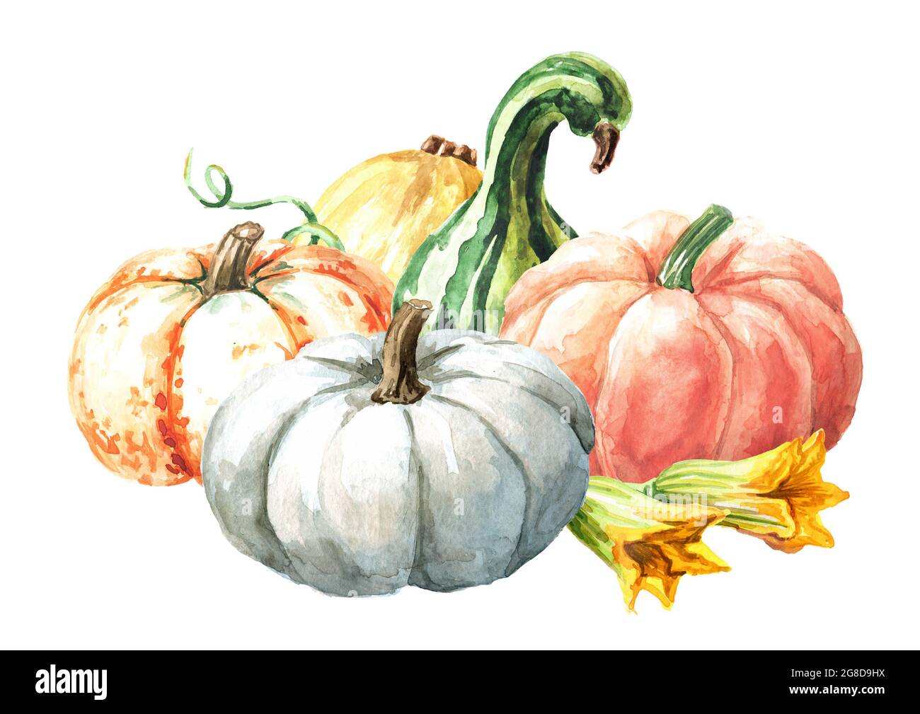 Herbst-Gartenflagge Mit Kürbis-Motiv – Aquarell-Design Auf Jute (ca. 32x46 Cm), Doppelseitig Bedruckt