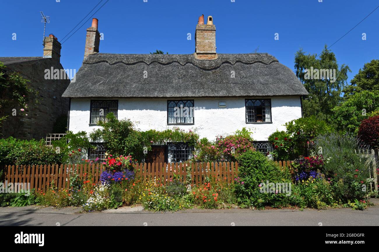 HEMMINGFORD ÄBTE, CAMBRIDGESHIRE, ENGLAND - 17. JULI 2021: Schönes altes Reethaus mit traditionellen Fenstern und farbenfrohem Cottage-Garten Stockfoto