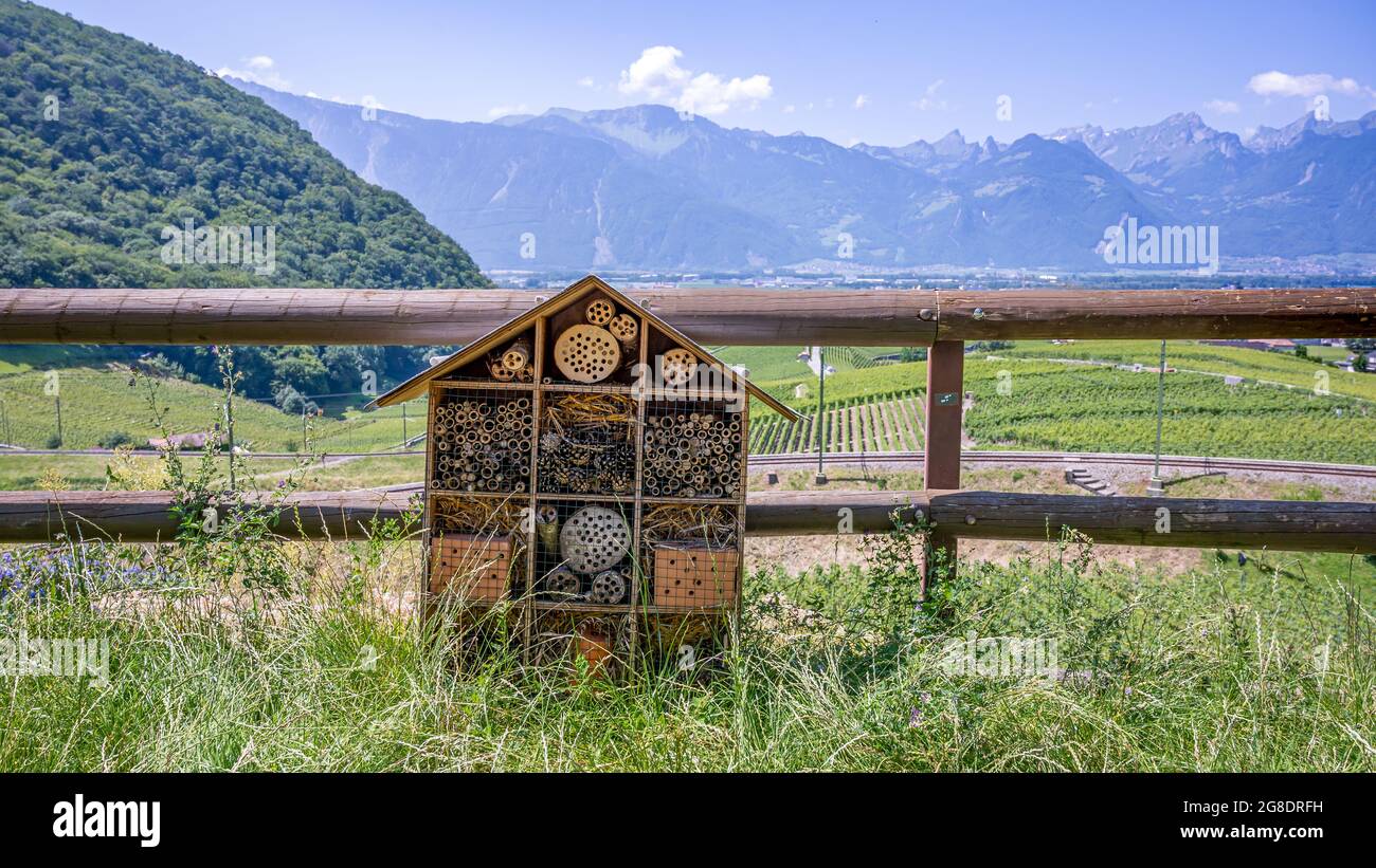 Insektenhaus aus Holz im Garten. Insektenhotel in natürlicher Umgebung. Insektenhotel in der Schweiz. Ruhige Szene. Stockfoto