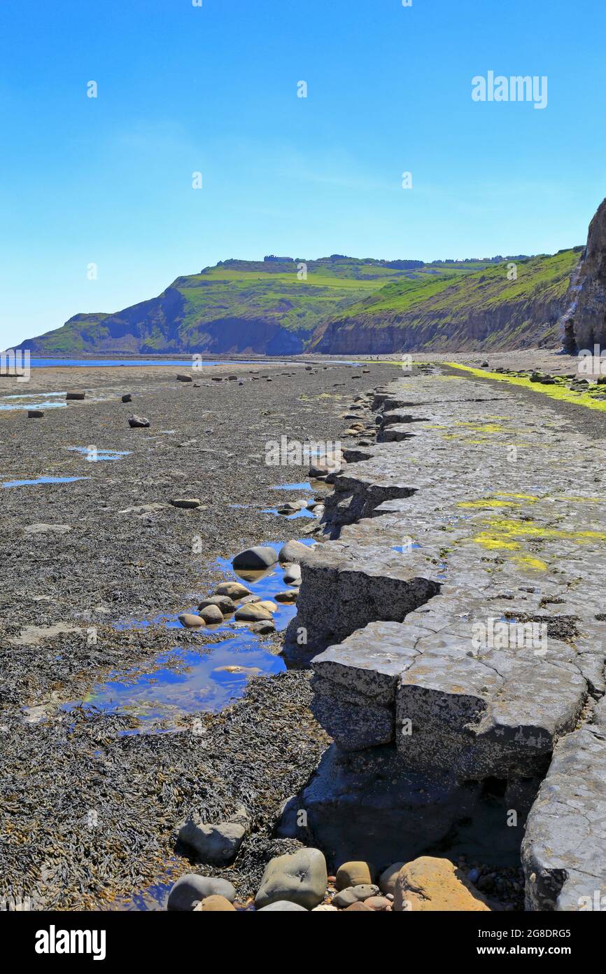 Wellenschnitt-Plattform in Richtung Ravenscar-Vorgewende in Robin Hoods Bay, North Yorks National Park, North Yorkshire, England, Großbritannien. Stockfoto