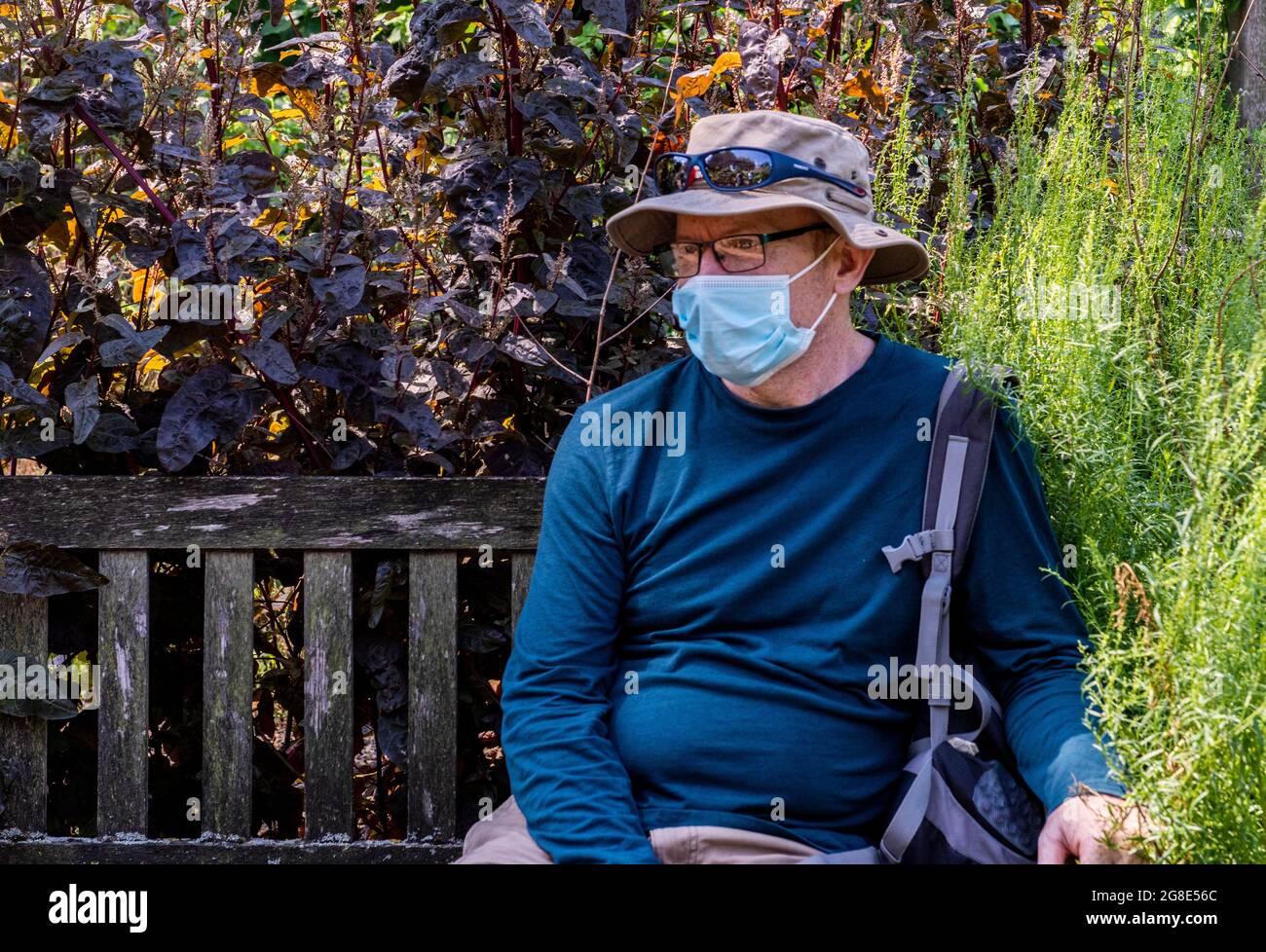 Ein Mann mit Gesichtsmaske, Brille und Strohhut sitzt auf einer Bank im Chelsea Physic Garden in London. Stockfoto