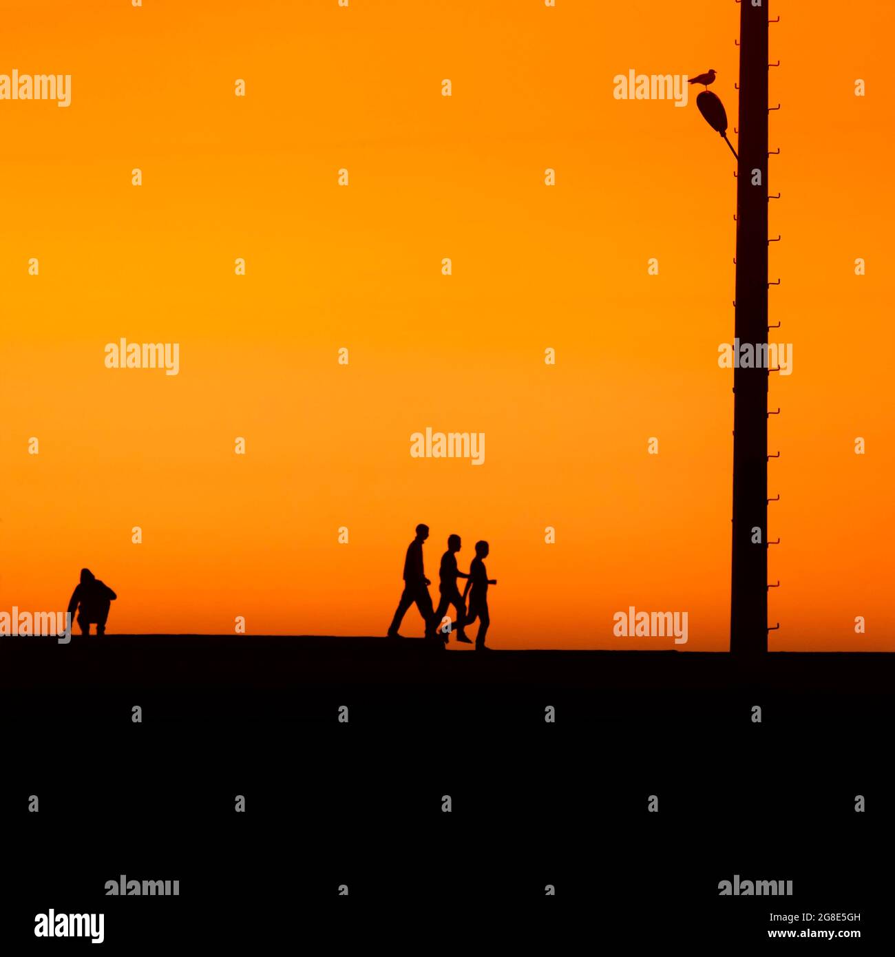 Männer an einer Mauer im Hafen, Silhouetten bei Sonnenuntergang, drei zu Fuß im Schritt, einer sitzt in der Hocke, Essaouira, Atlantikküste, Marrakesch-Safi, Marokko Stockfoto