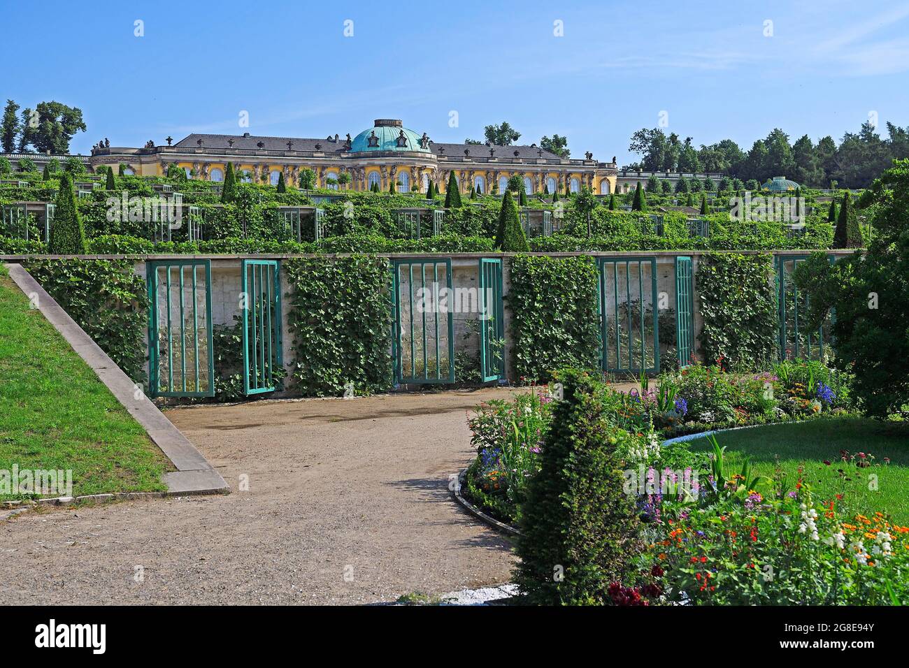 Schloss Sanssouci, Weinterrassen, Schlosspark Sanssouci, Potsdam, Brandenburg, Deutschland Stockfoto