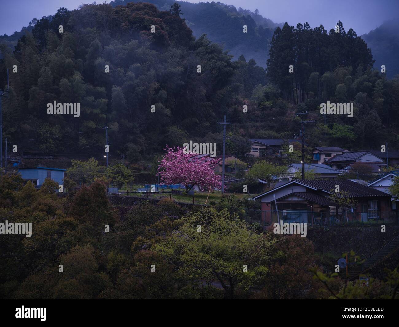 Satoyama-Landschaft Stockfoto