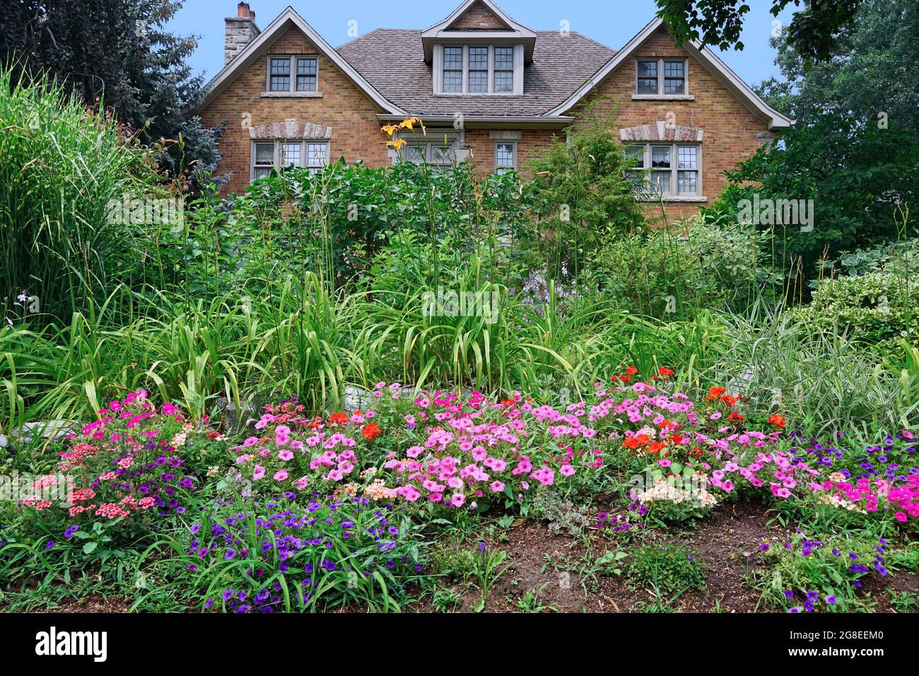 Üppiger Garten vor dem Haus mit einer Fülle von grünen Schilf und bunten Blumen Stockfoto