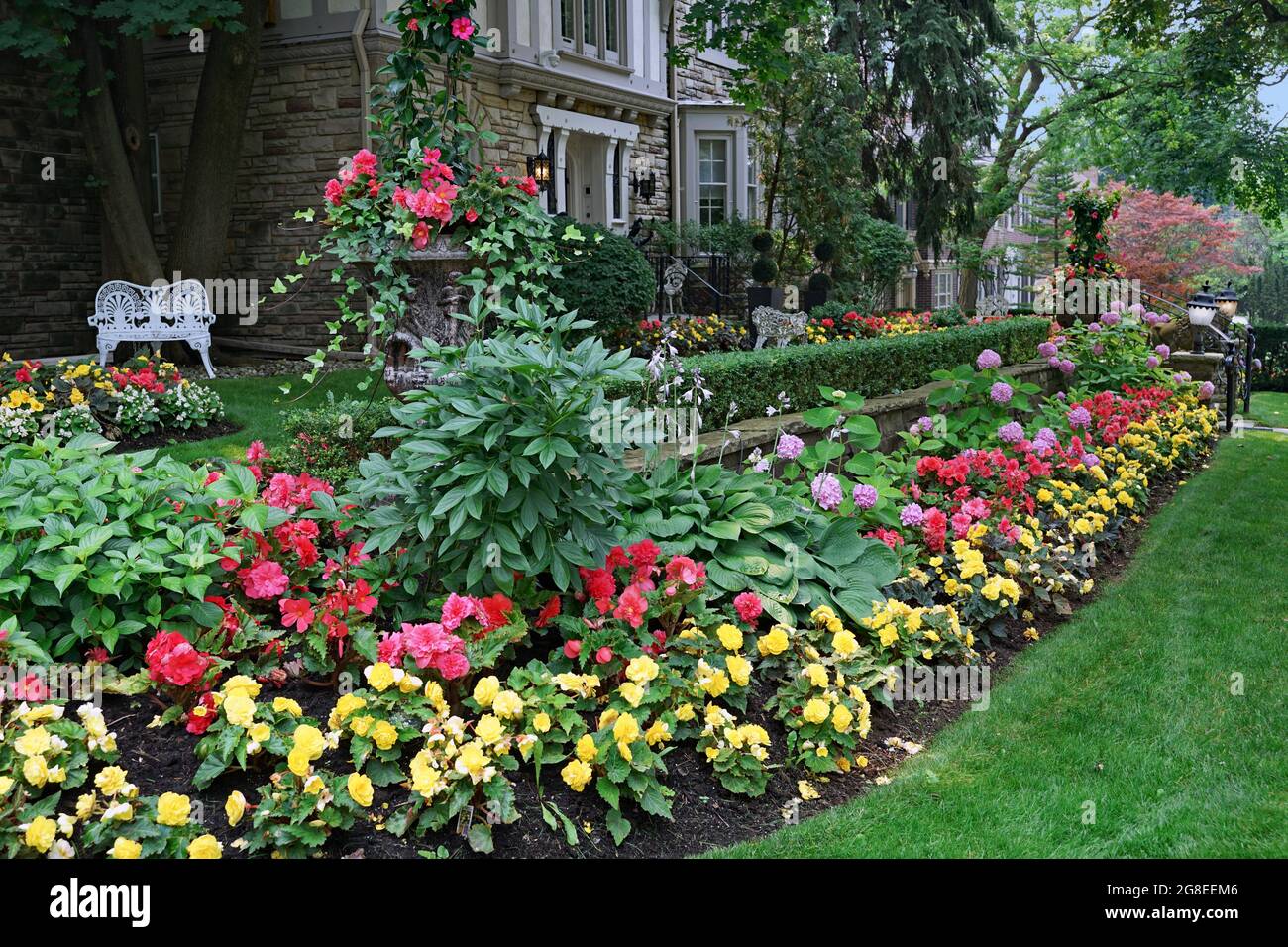Garten des Hauses mit attraktiven Landschaftsgestaltung, gelbe und rote Begonien in einer Masse Pflanzen Stockfoto