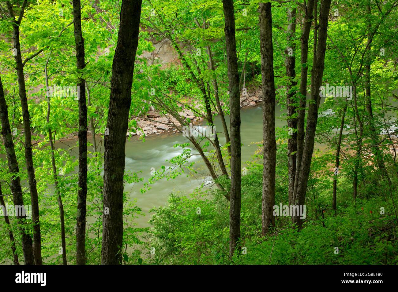 Middle Fork Vermilion Wild and Scenic River, Kickapoo State Park, Illinois Stockfoto