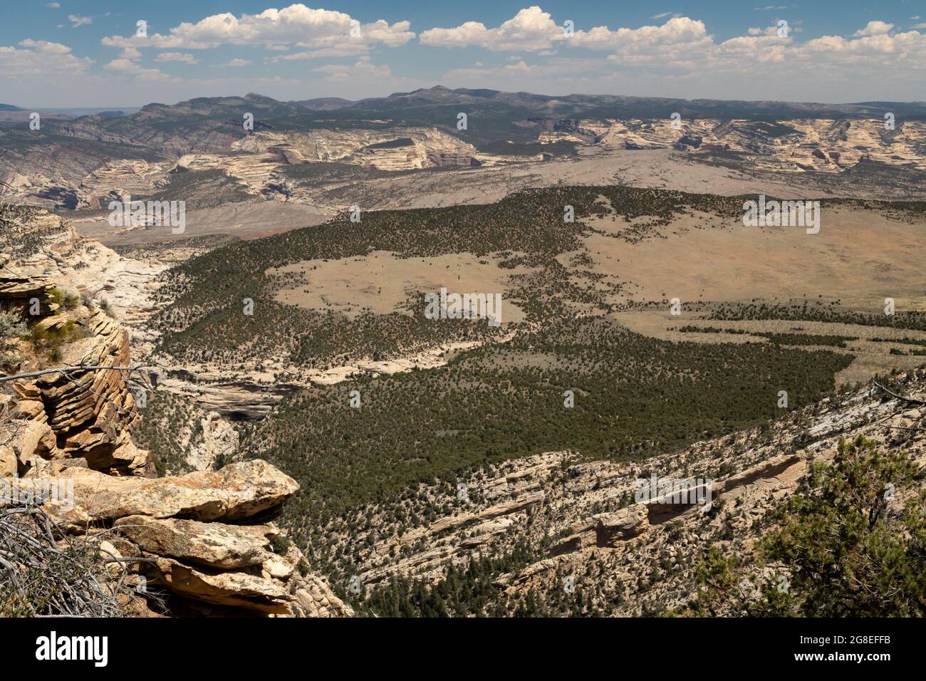 Mit Blick auf die Yampa Bench in Richtung des Zusammenflusses des Green und Yampa Flusses. Stockfoto