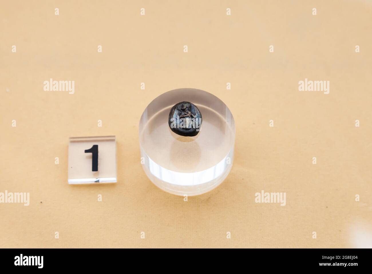 Xerxes Silbermünze, Achaemenid, Nationalmuseum des Iran, Teheran, Iran, Persien, Westasien, Asien Stockfoto