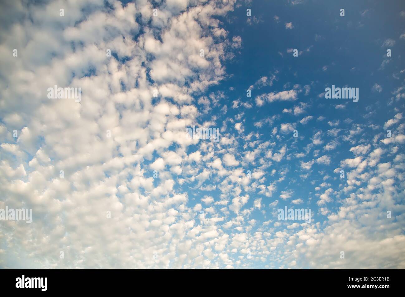 Schöner blauer Himmel mit weißen Zirruswolken. Himmelspanorama für Bildschirmschoner, Postkarten, Kalender, Präsentationen. Tiefer Punkt bei Weitwinkel. Warme Frühlings- oder Sommerabende. Stockfoto