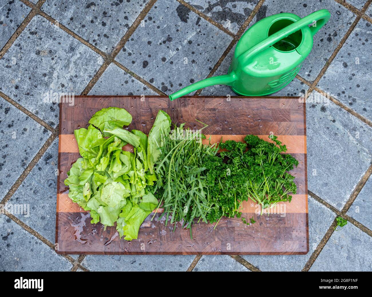 Frisches Gemüse aus dem Garten Stockfoto