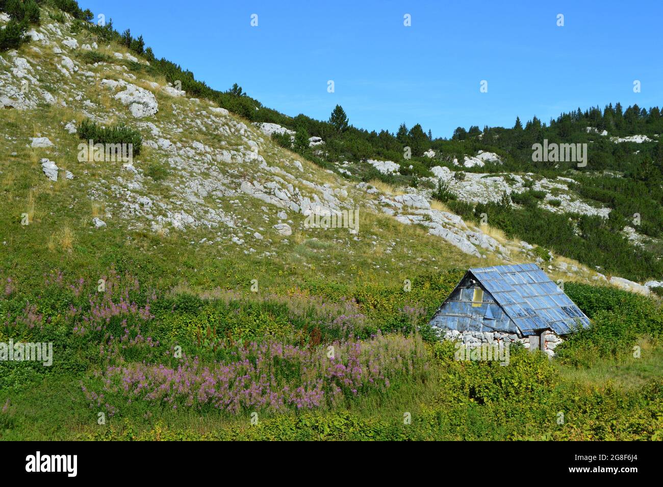 Wandertag auf dem Cvrsnica Berg Stockfoto