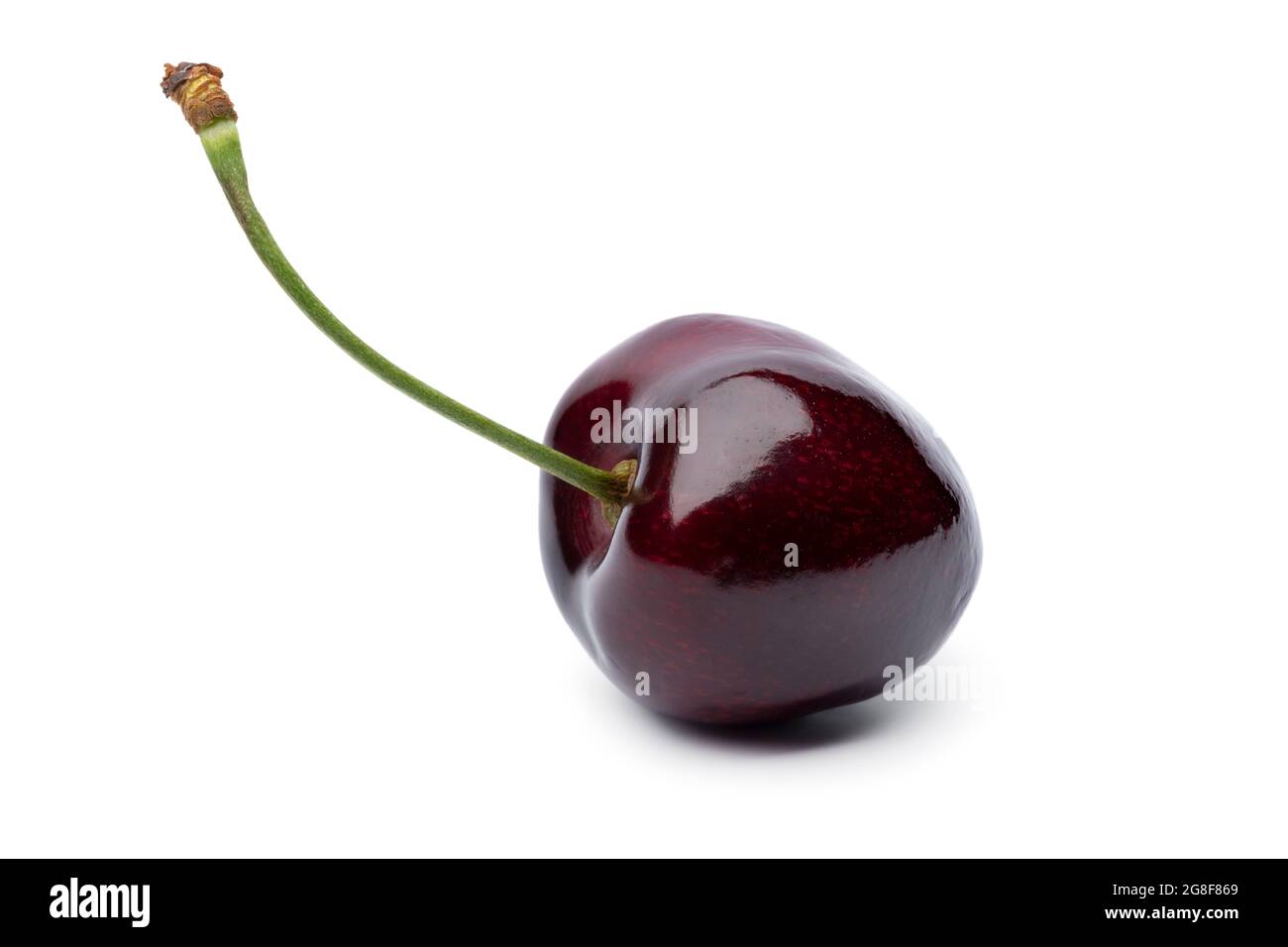 Einzelne rote reife saftige Kirsche isoliert auf weißem Hintergrund Stockfoto
