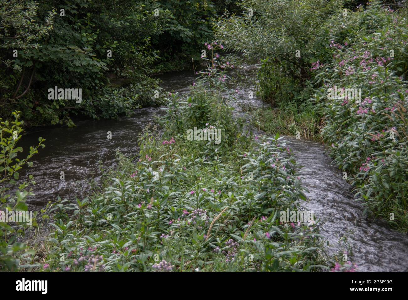 Wilder Fluss im Sommer mit Spray Stockfoto