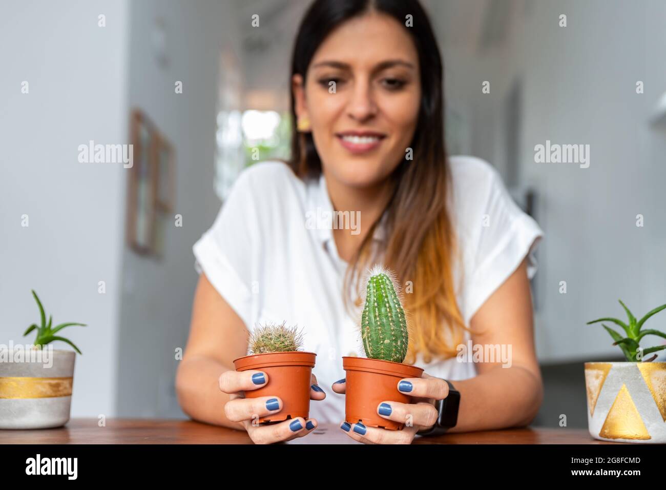 Selektiver Fokus von Sukkulenten mit einer nicht fokussieren Frau im Hintergrund Stockfoto