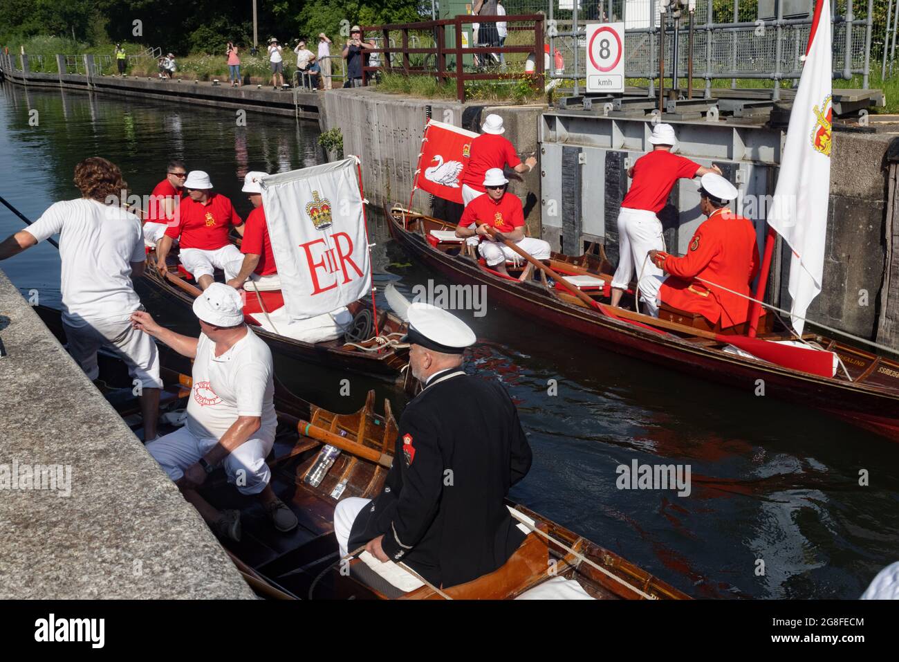 Boveney Lock, in der Nähe von Eton, Großbritannien: 20. Juli 2021. Jährliche Swan Upping Zählung der Schwanenpopulation an der Themse. Swan Uppers von der Worshipful Company of Vintners und der Worshipful Company of Dyers rudern mit dem Schwanenmarker der Königin David Barber (Scharlach-Blazer) in traditionellen Skiffs flussaufwärts. Die jährliche Veranstaltung geht vermutlich auf das Jahr 1189 zurück, als die Krone den Besitz aller stummen Schwäne für Essen für Bankette und Feste beanspruchte. Heute werden die Cygnets gewogen und gemessen, um Schätzungen der Wachstumsraten zu erhalten, und auf Anzeichen von Verletzungen untersucht, die in der Regel durch Angelhaken und Angelschnur verursacht werden. Stockfoto