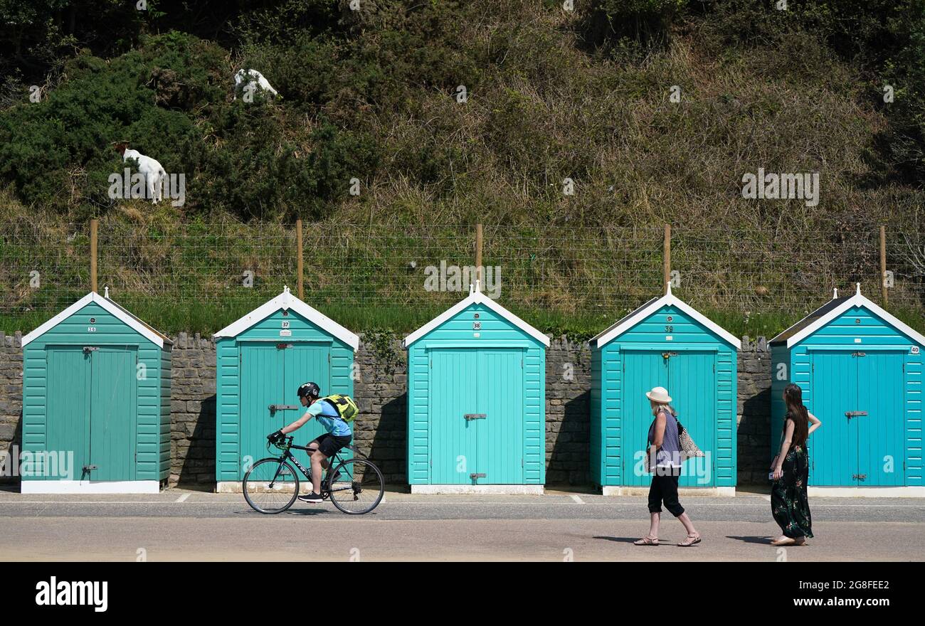 Die Menschen schauen auf die Ziegen, die sich auf den Klippen über einigen Strandhütten ernähren, während sie sich entlang der Küste am Bournemouth Beach in Dorset aufmachen. Bilddatum: Dienstag, 20. Juli 2021. Stockfoto