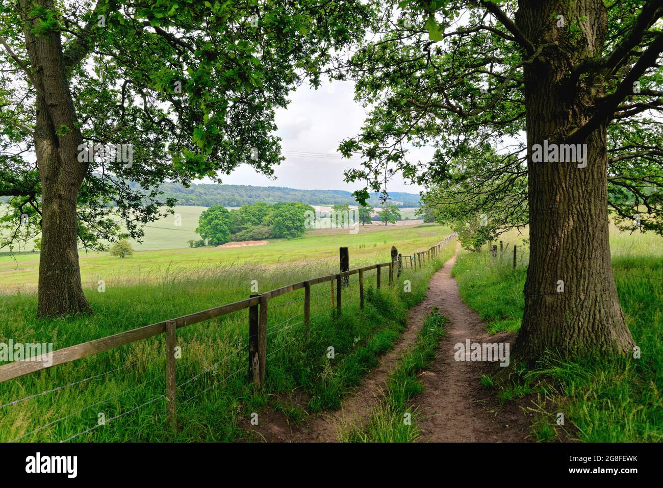 Die North Downs und die Landschaft mit Blick nach Osten in der Nähe von Albury in den Surrey Hills an einem Sommertag, England Großbritannien Stockfoto