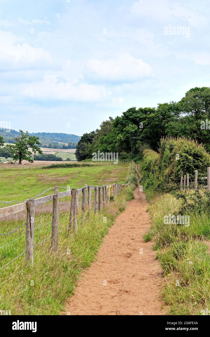 Die North Downs und die Landschaft mit Blick nach Osten in der Nähe von Albury in den Surrey Hills an einem Sommertag, England Großbritannien Stockfoto