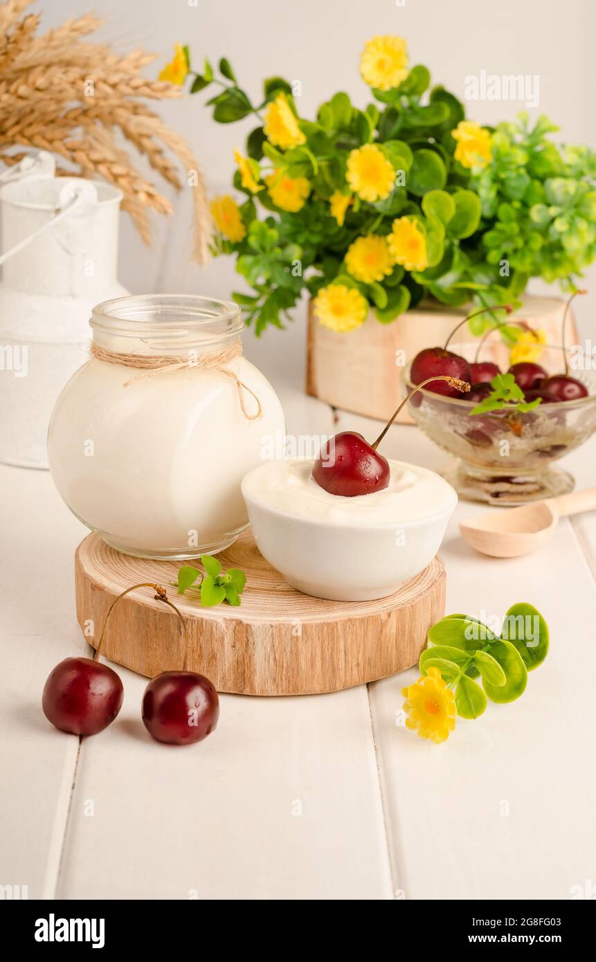 Milchstarterkultur zur Herstellung von fermentierten Milchprodukten, Joghurt, Kefir, fermentierter Backmilch in einer Schüssel auf weißem Holzhintergrund Stockfoto