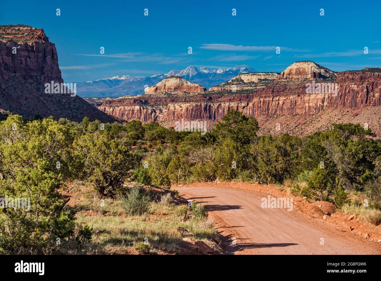 Beef Basin Road, Shay Mesa, Cottonwood Creek Canyon, La Sal Mtns in dist, 40 Meilen nordöstlich, Bears Ears National Monument, Canyonlands Area, Utah, USA Stockfoto