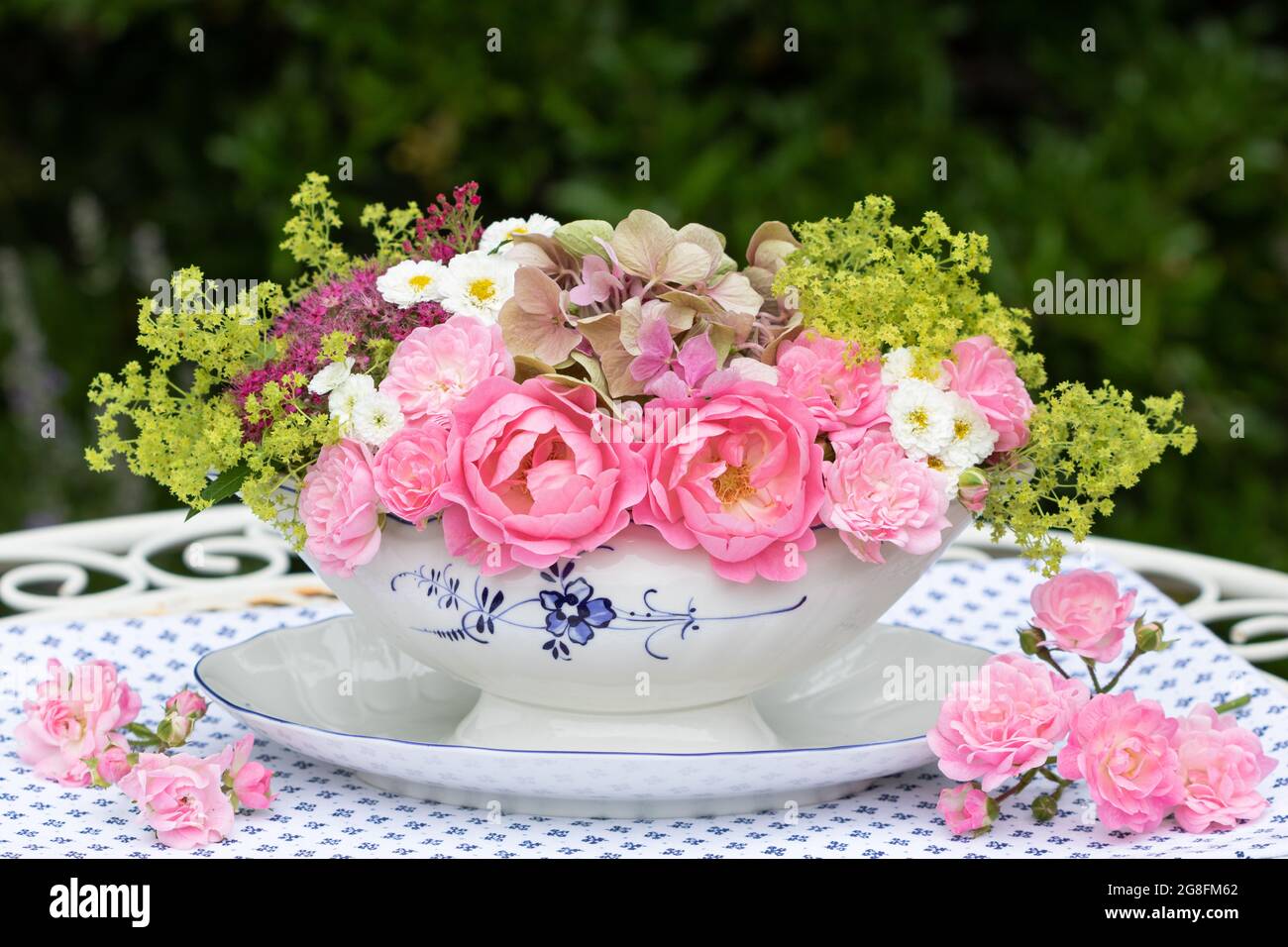 Romantisches Bouquet´s rosa Rosen, Hortensien und Dame Mantel in Sauce Boot Stockfoto
