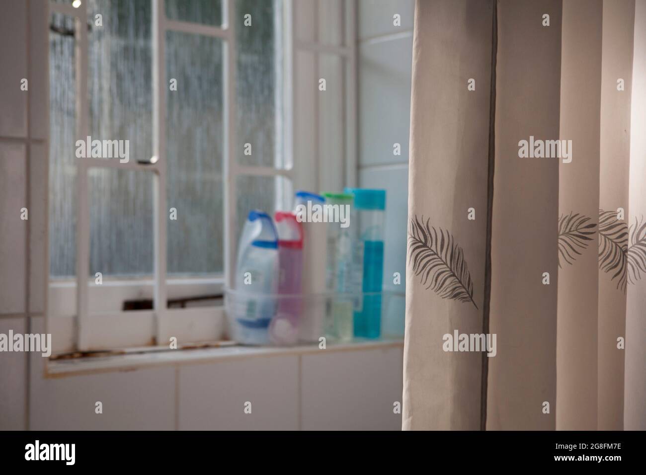 East Sussex, Großbritannien, 17. Juli 2021: Plastikflaschen mit Duschgel auf einer Fensterbank neben einem Duschvorhang. Das Milchglasfenster leuchtet sanft auf Stockfoto