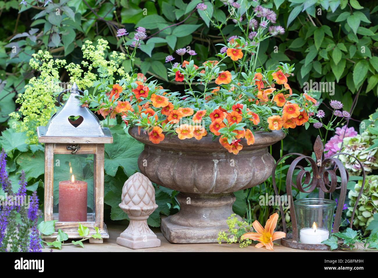 Sommer-Gartendekoration mit orangefarbener Petunia-Blume in Terrakotta-Vase und Vintage-Laterne Stockfoto