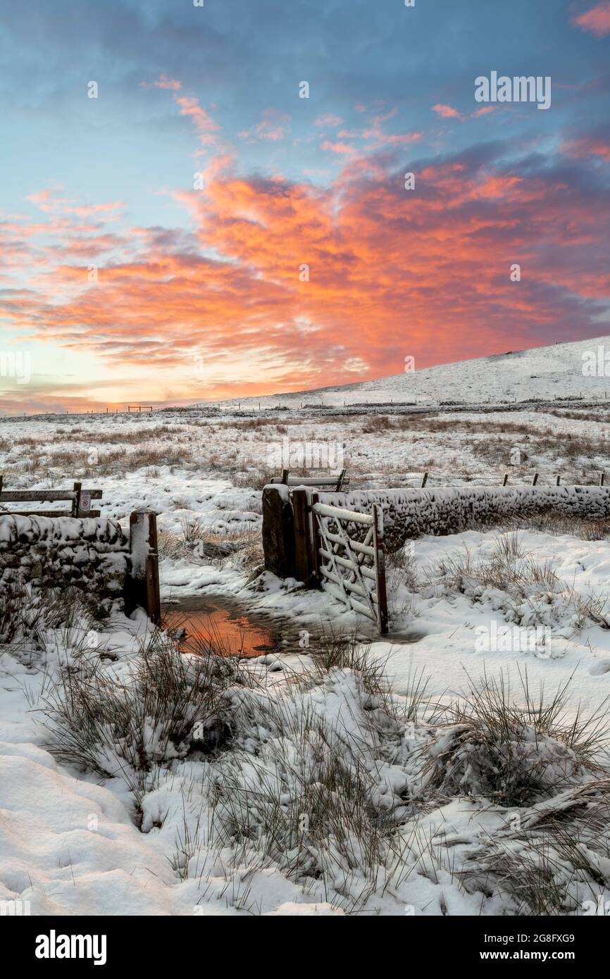 Eine Winterszene in Wildboarclough, Peak District National Park, Ceshire, England, Großbritannien, Europa Stockfoto